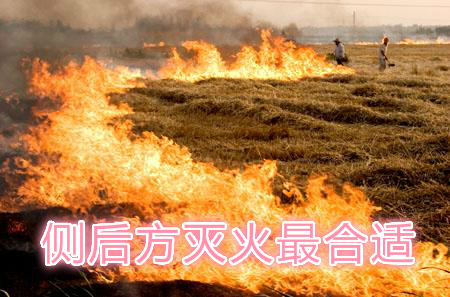 不要在風(fēng)頭上打火：風(fēng)正大，火正旺，最容易傷人；