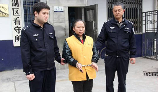 被抓的王某，網(wǎng)友稱：這不是大明湖畔的容嬤嬤么