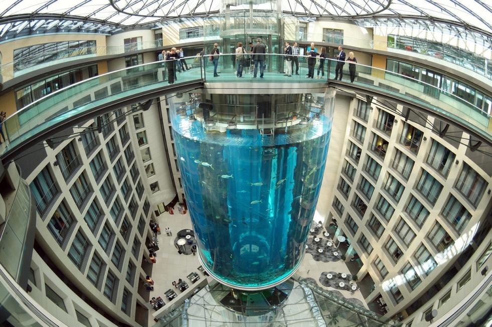 在圓柱水族館主體下方，還有一些別的展館。