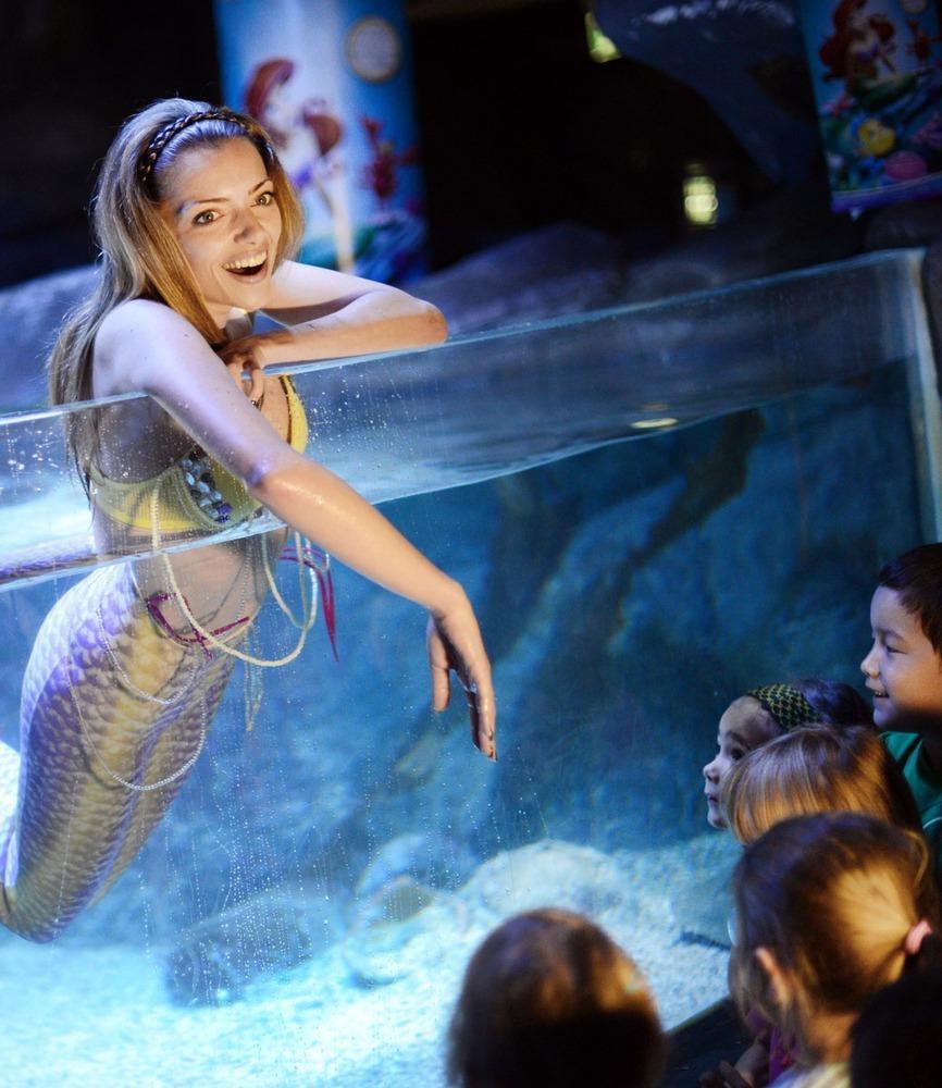 德國女演員安妮·門登在水族館里客串了一把“美人魚”，順便為她的電影《小美人魚》做宣傳。
