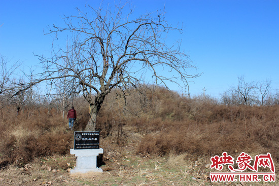 在叔齊墓的前面，豎著新鄭市人民政府今年剛立的石碑，上面寫著“新鄭市文物保護單位”。