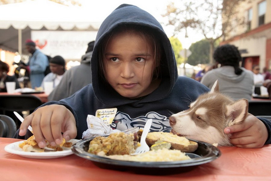 11月21日，加州洛杉磯的游民巷，12歲的堂娜·赫南德茲抱著愛犬“湯米”，安靜地吃著免費(fèi)的感恩節(jié)飯菜