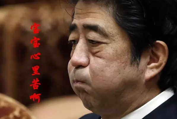 這種看安倍“熱鬧”的事兒，環(huán)環(huán)絕不私藏，一定雨露均沾!
