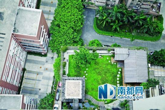 中旅商務(wù)大廈的“空中花園”。