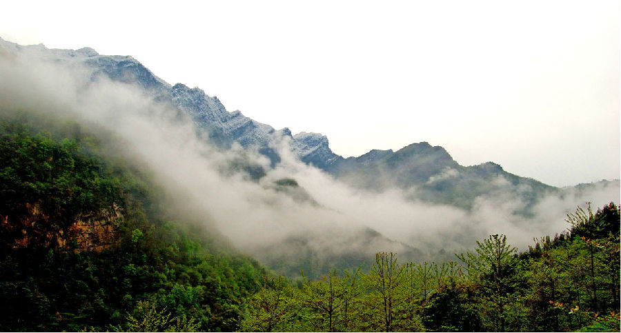 21℃的清涼欒川對(duì)全國大學(xué)生免門票 21℃的清涼欒川對(duì)全國大學(xué)生免門票