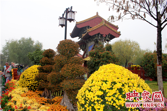 天好、花美 中國(guó)開封第32屆菊花文化節(jié)延長(zhǎng)一周