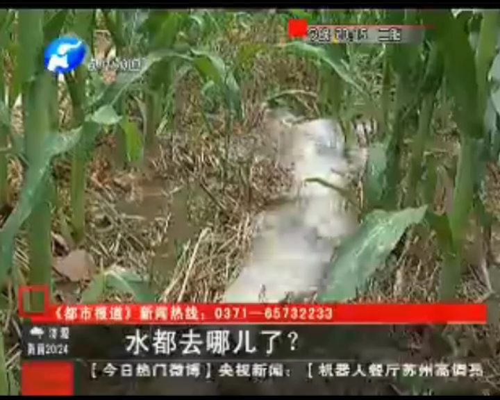水都去哪了？