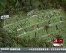 “垃圾場”拍婚紗：玩噱頭還是做環(huán)保？
