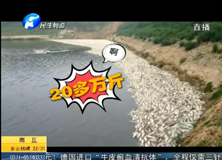 20萬斤魚翻肚因缺氧？