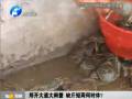 鄭開大道大閘蟹 缺斤短兩何時休？