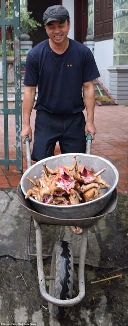 越南貓肉餐廳：將貓淹死、剝皮、切成小塊，再油炸